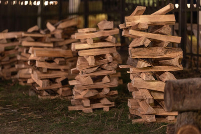 How to Choose the Best Firewood for Your Home