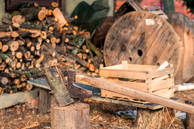 The Importance of Sustainable Firewood Sourcing